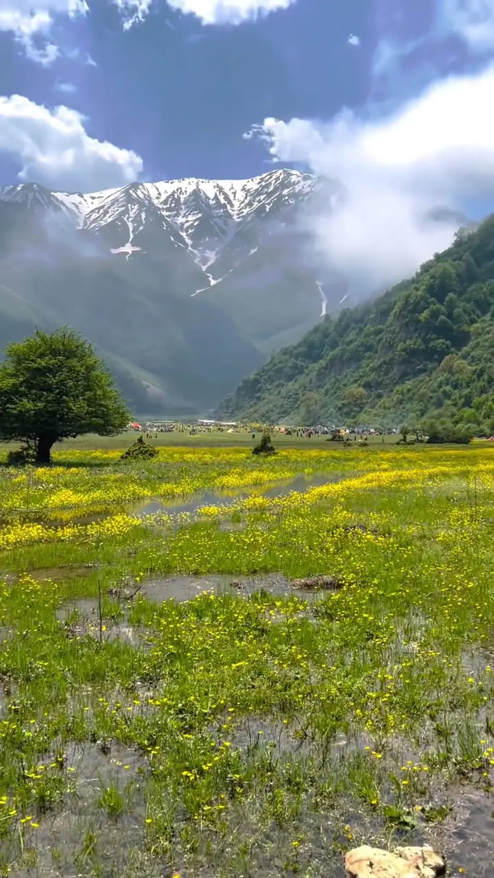 سفر به شهسوار برای دیدن دشت زیبای دریاسر  + فیلم ->
