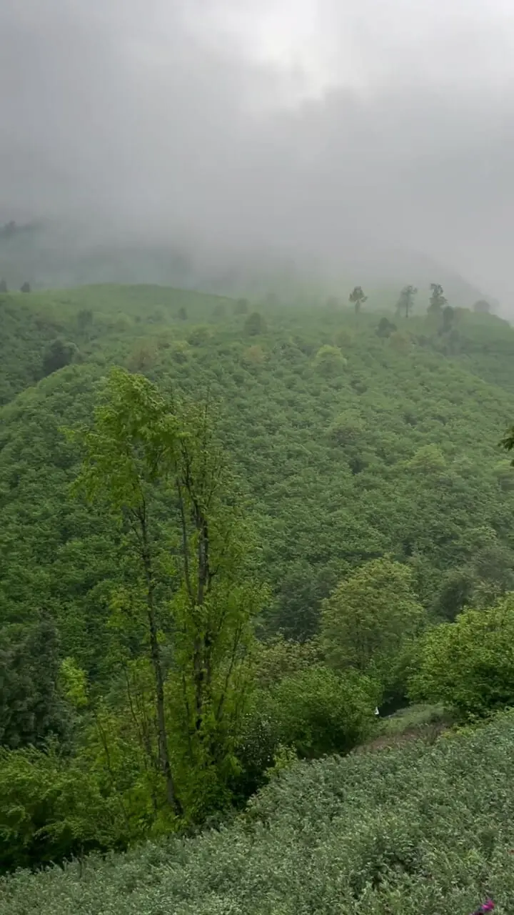 فیلم طبیعت فوق العاده اشکور در گیلان 