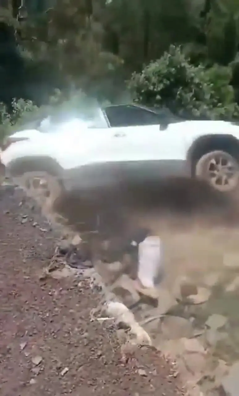 فیلم لحظه سقوط خودرو به داخل دره