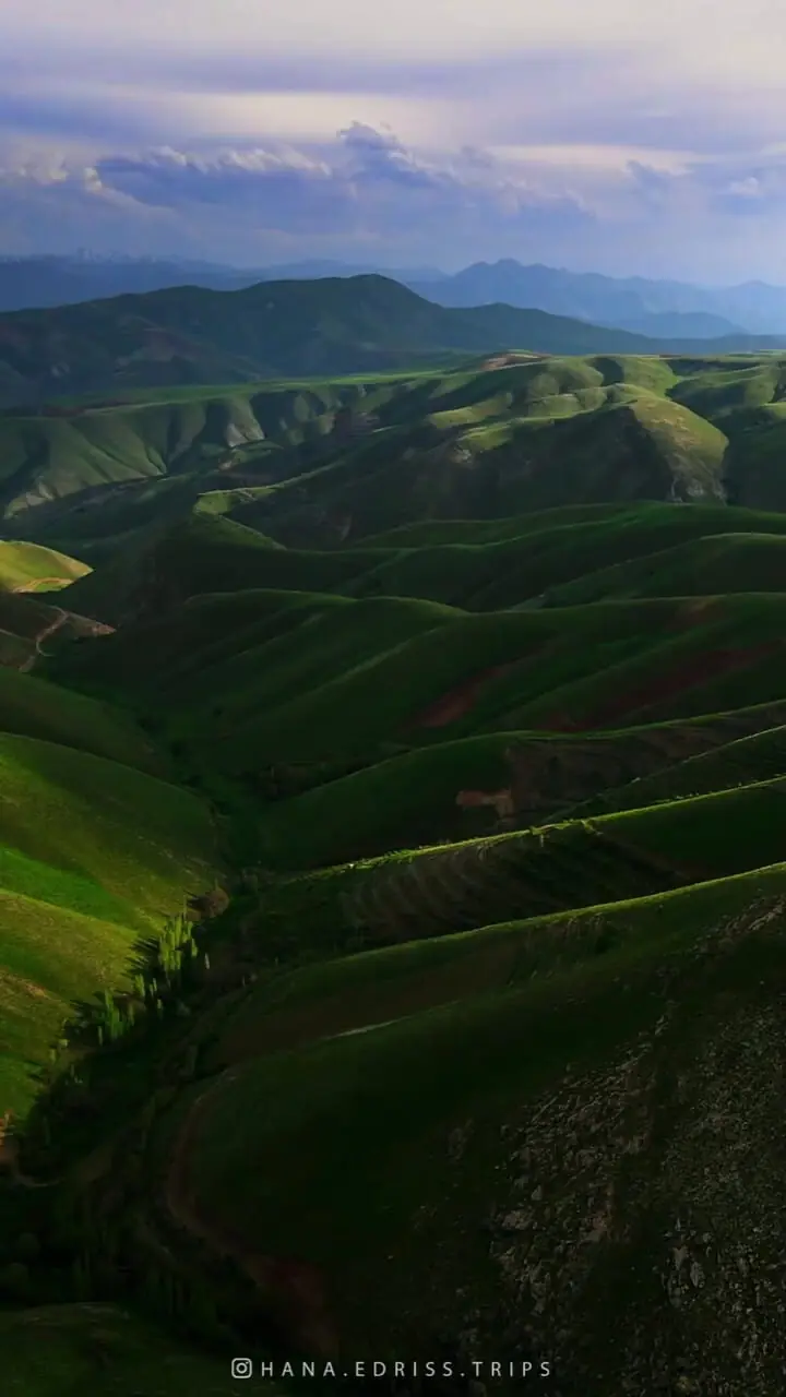 فیلم از کوهستان زیبای سارال _کردستان