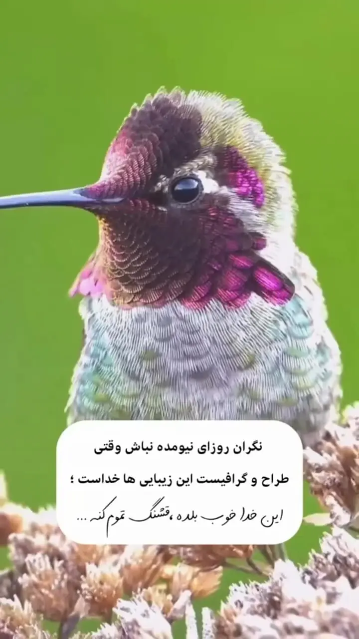 درس زندگی - A symbolic image representing a life lesson about love and passion.