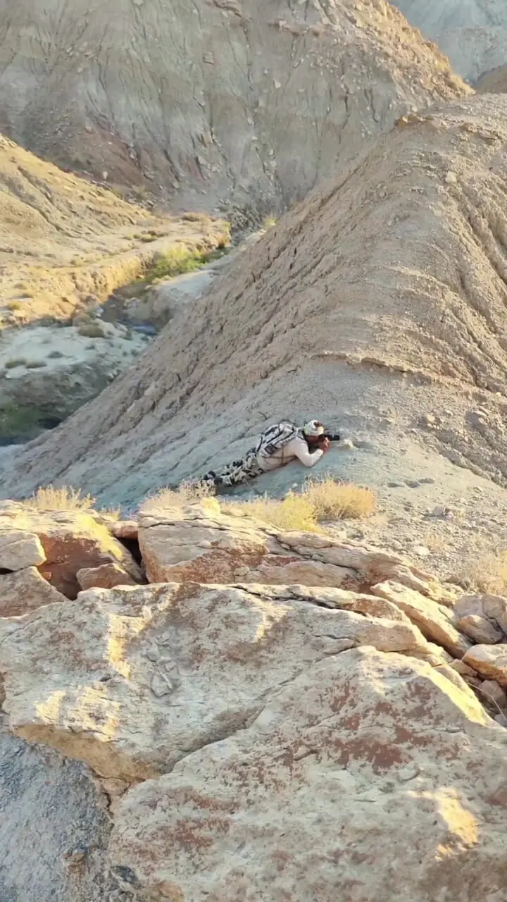 فیلم از لحظه شکار عکس بزکوهی در بوشهر / عکاسی که در دل کوه خوابید!