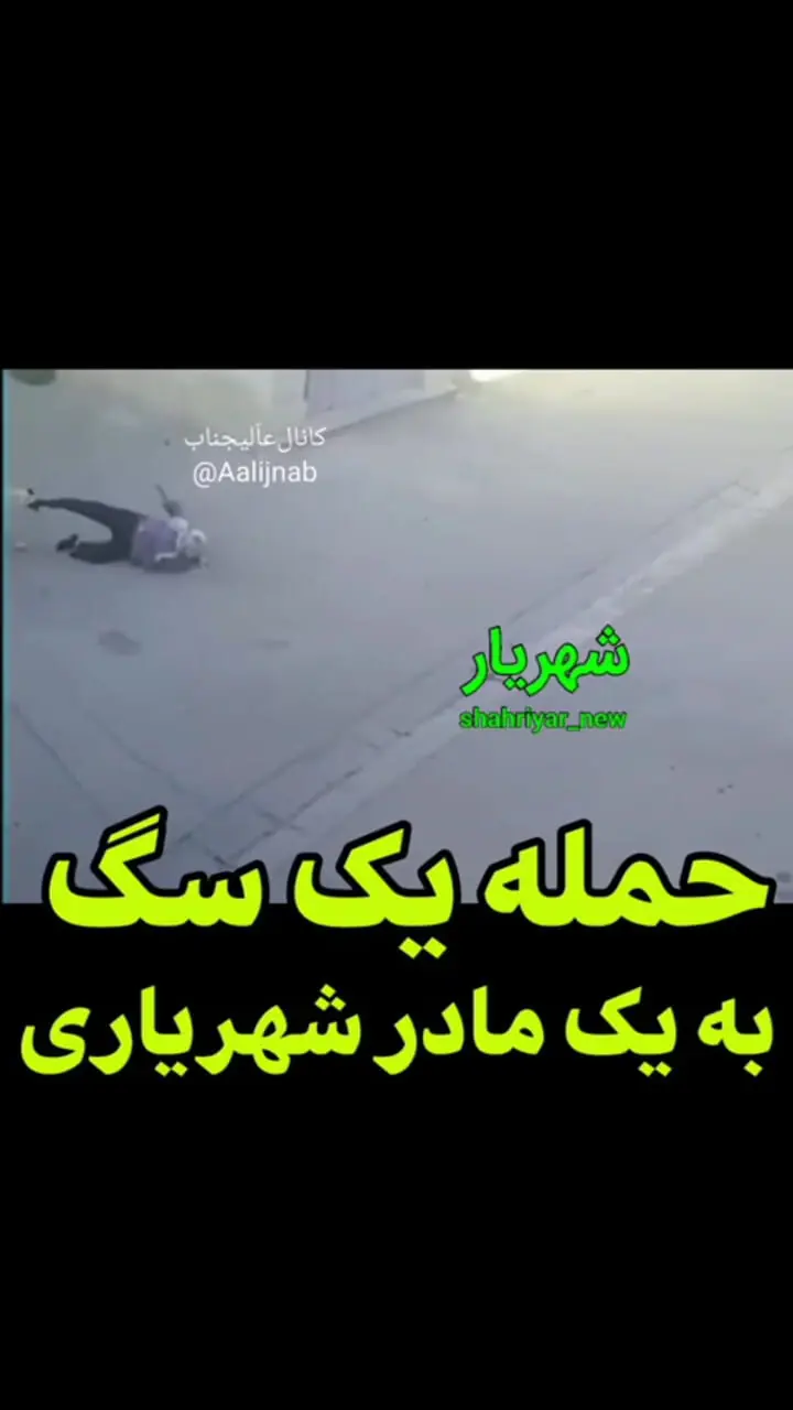 حمله یک سگ به یک زن رهگذر در شهریار + فیلم