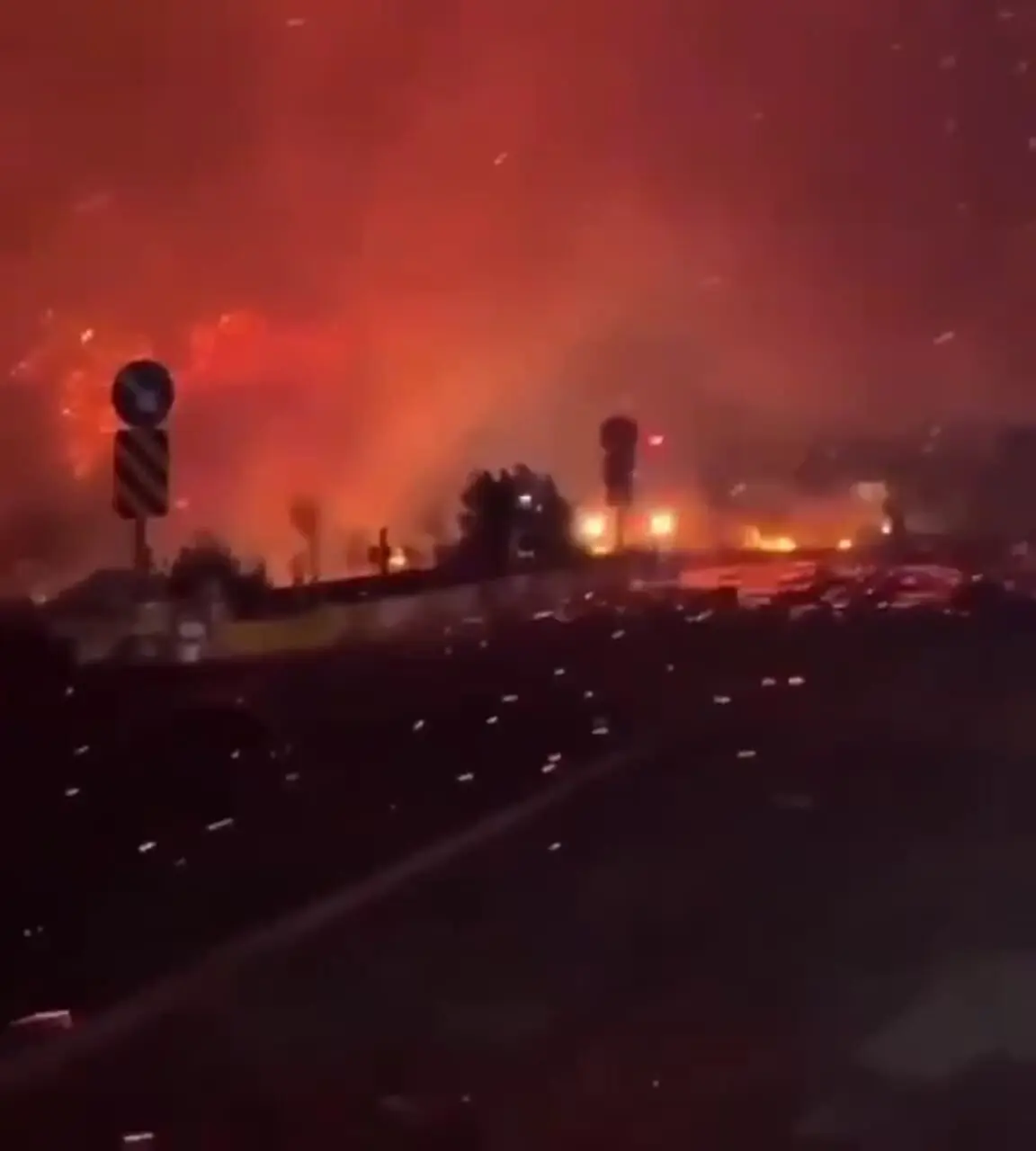آتش سوزی جنگل ها در استان های ازمیر، چاناکاله و آیدین + فیلم