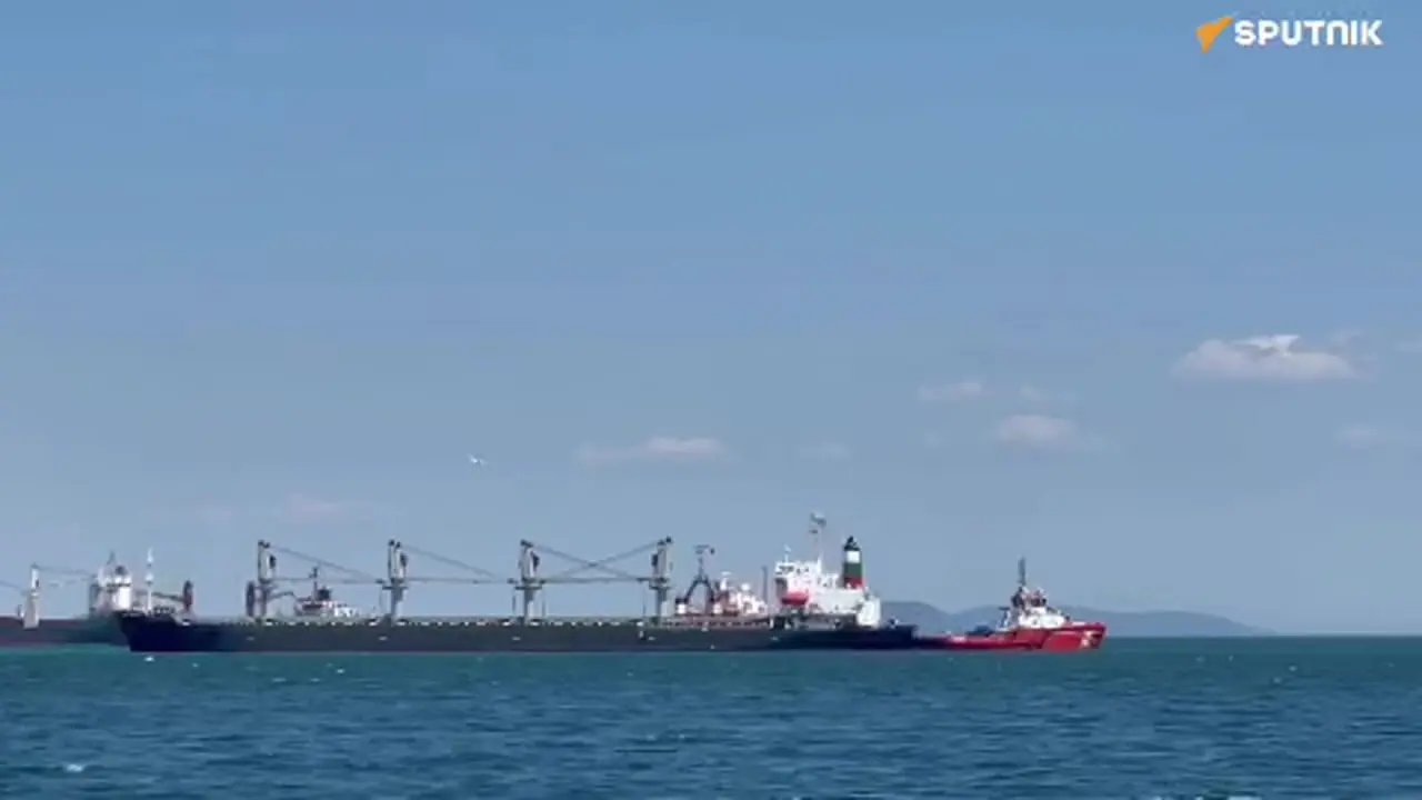 فیلم به گل نشستن کشتی غول پیکر روسیه در ساحل استانبول  