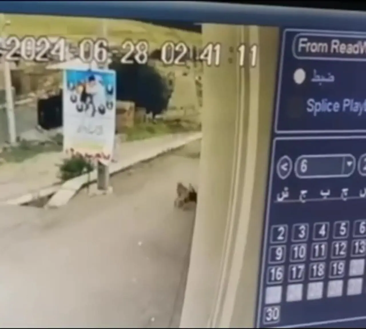 فیلم دلخراش از لحظه حمله سگ به یک کودک در روستای لله‌لو ورزقان