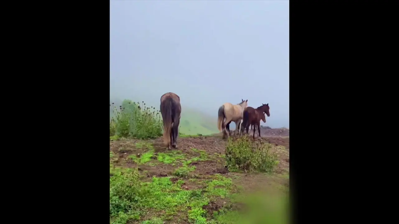 روستای زیبای فشکور در چالوس