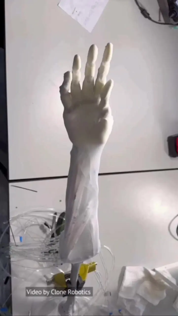 پیشرفت تکنولوژی/ بازوی رباتیک واقع گرایانه با "عضلات" حرارتی