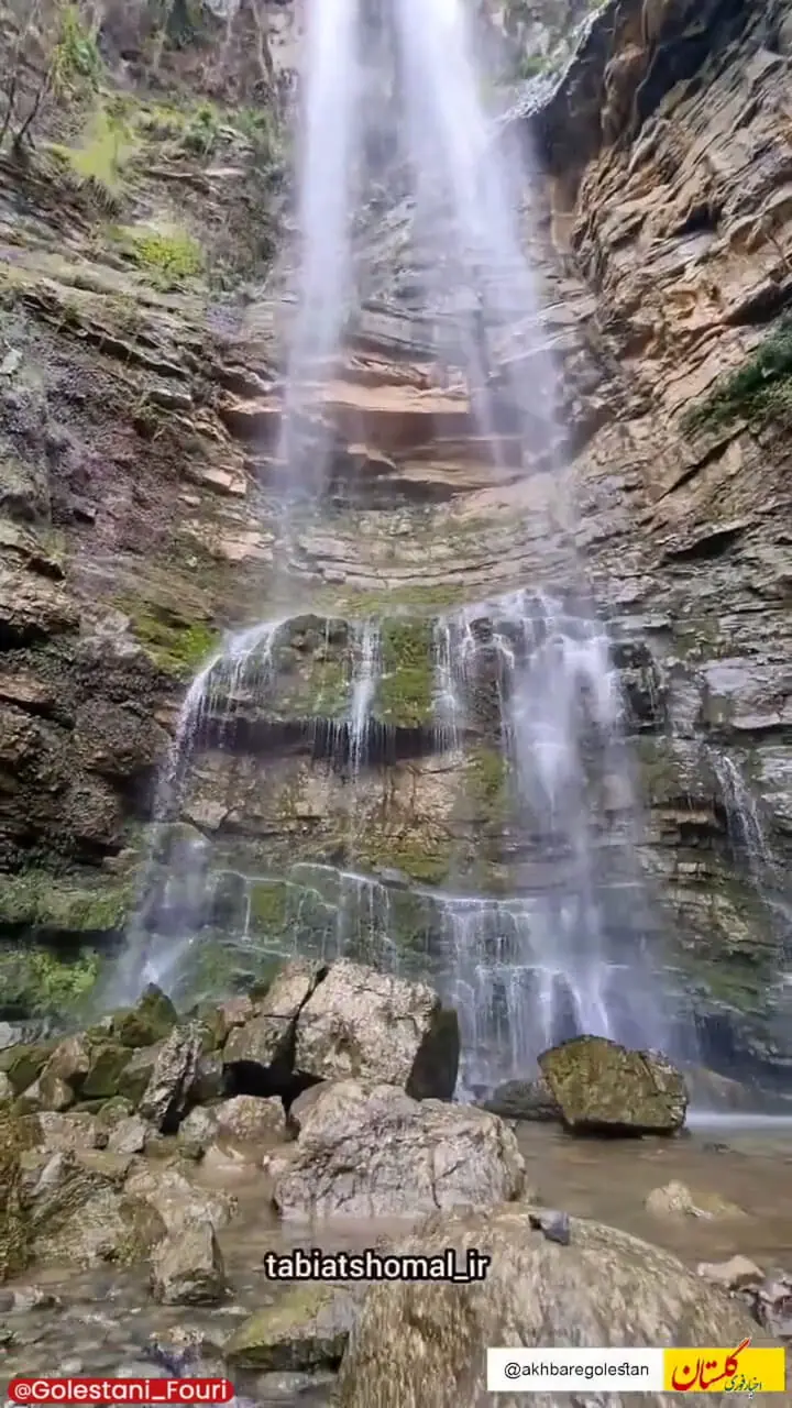 جنگل بی نظیر شفیع آباد، شهرستان فندرسک گلستان