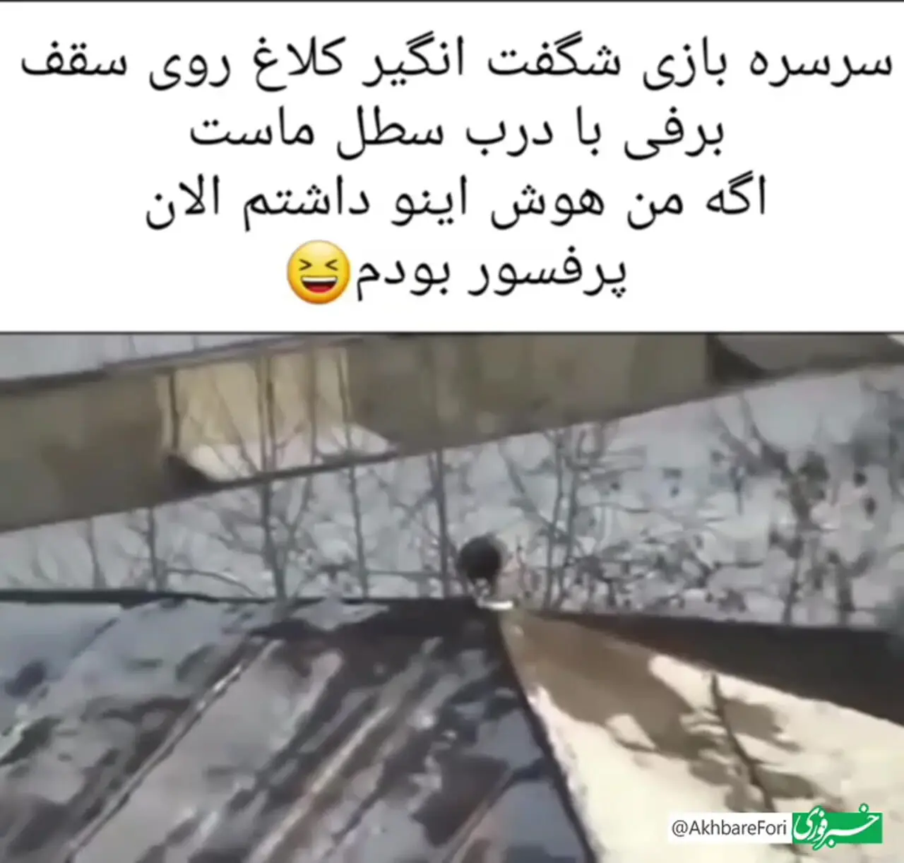 سرسره بازی کلاغ را ببینید