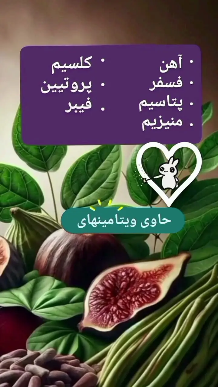 خواص انجیر سیاه + مواد مغذی انجیر سیاه