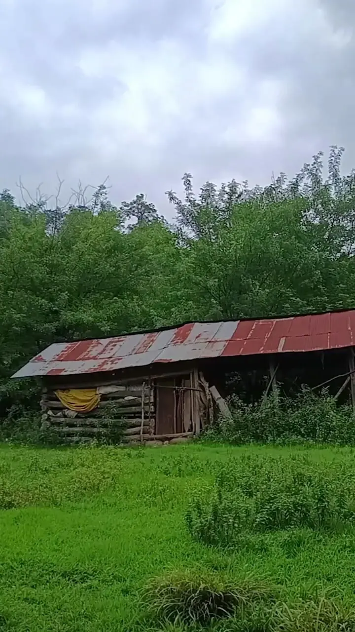 مازندران سوادکوه شمالی + فیلم