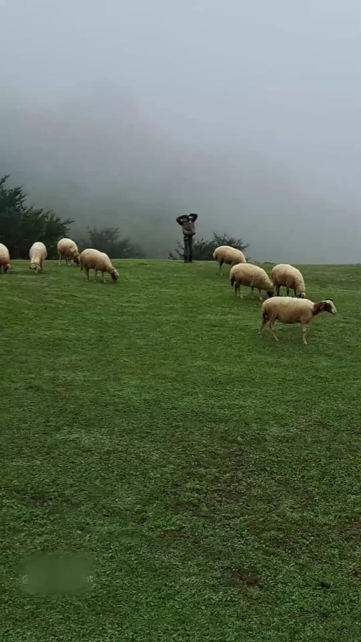 کوهستان درفک رودبار گیلان 