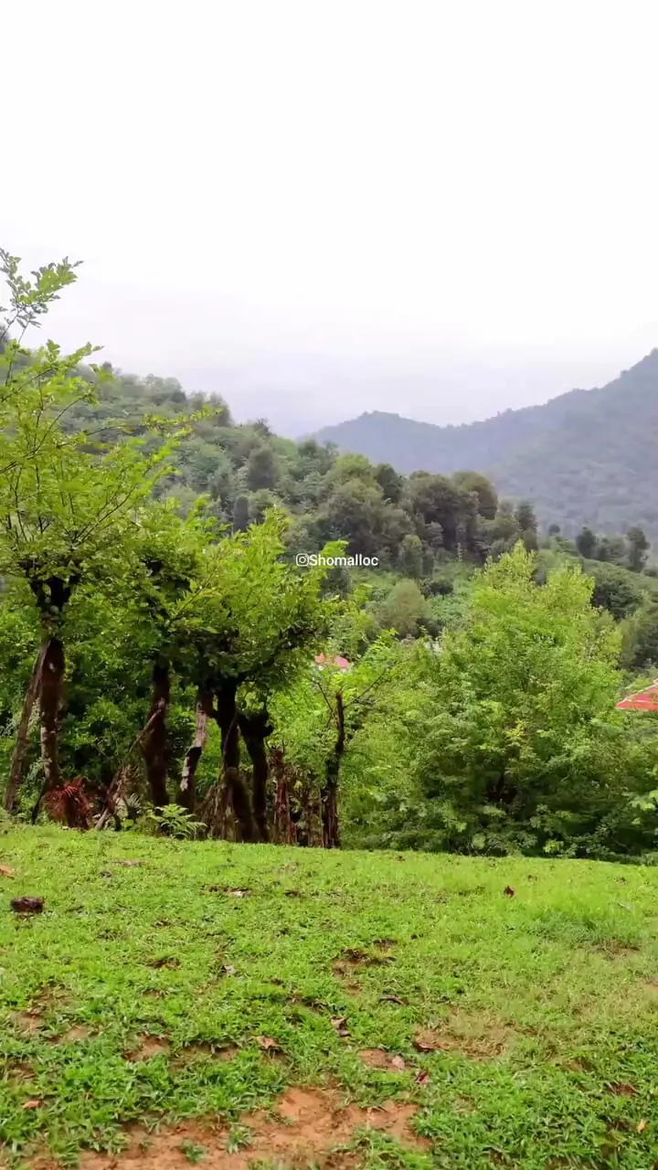 زیبایی چشم نواز در گیلان / فومن، روستای شولم