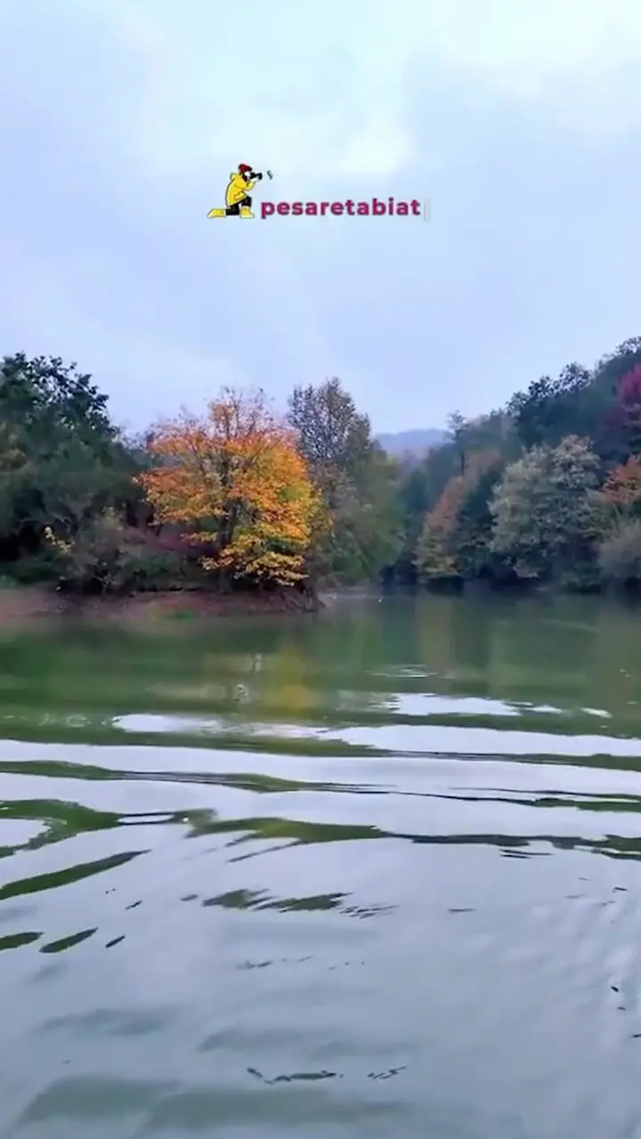 زیبایی برنجستانک از جاذبه های گردشگری قائم شهر