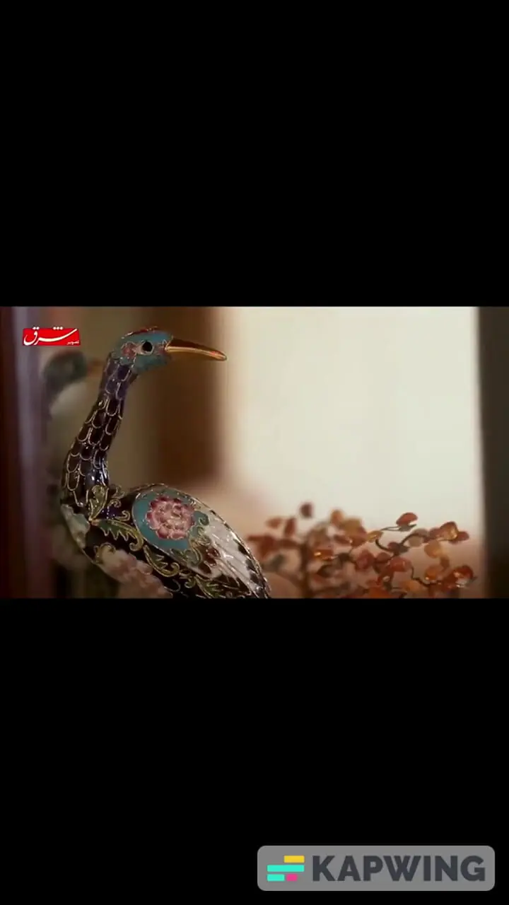 فیلم / نگاهی به چیدمان خانه پر از اشیای عتیقه فائزه هاشمی دختر شلوغ آیت الله هاشمی رفسنجانی / از مبلمان مدل فرحی در کاخ سعد آباد تا لوکس ترین دکوری ها