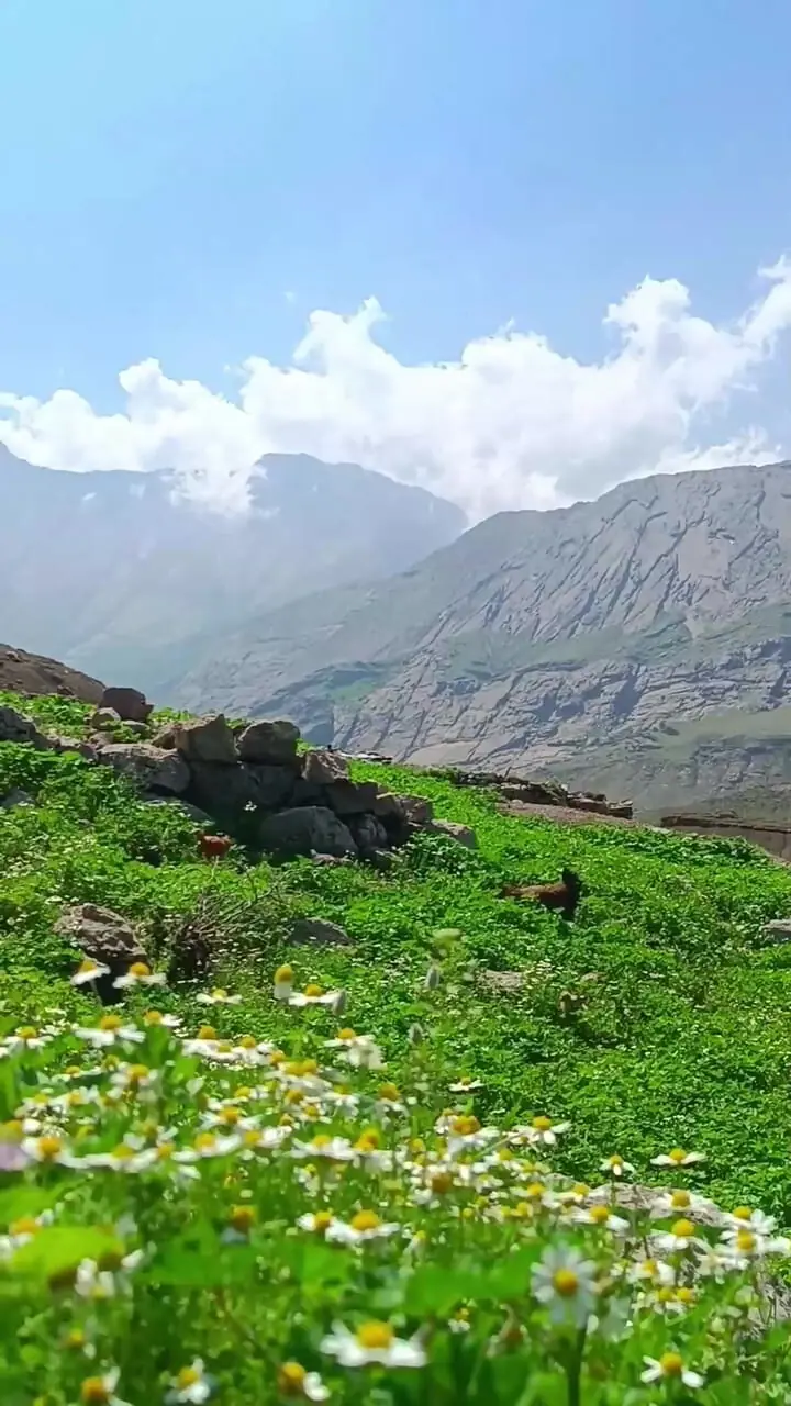 لرستان در بهار؛ سرزمین سبز و چشم‌نواز ایران