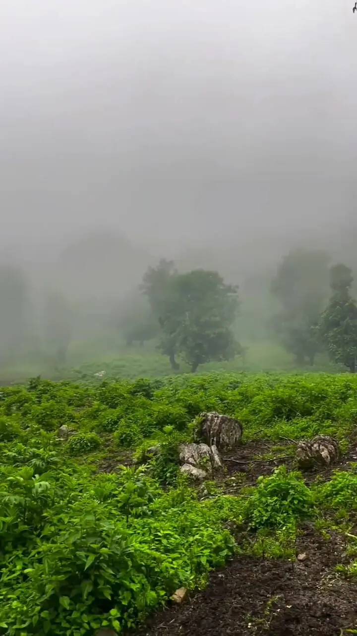 جادوی نامیرای گیلان