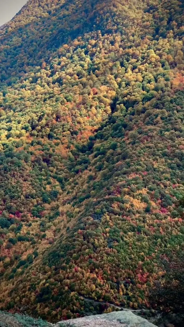 فیلم طبیعت گلستان، گرگان، روستای زیارت 