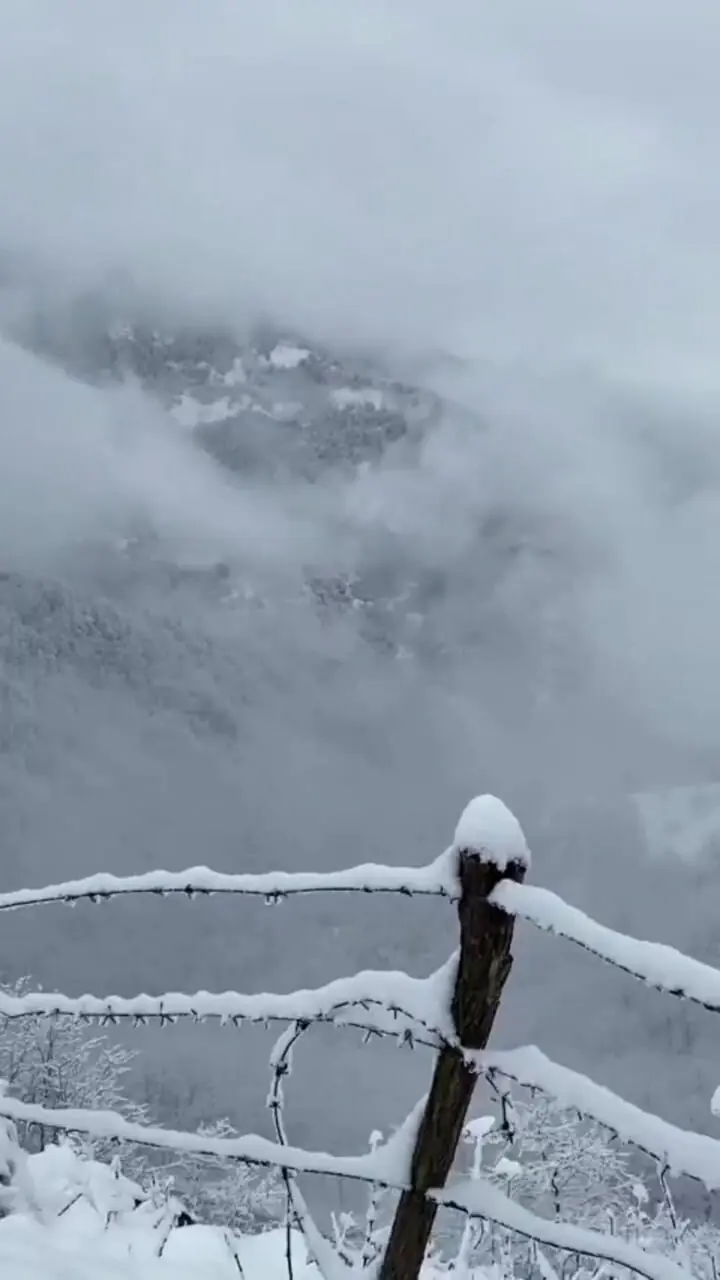 فیلم زیبایی کوهستان در برف زمستانی