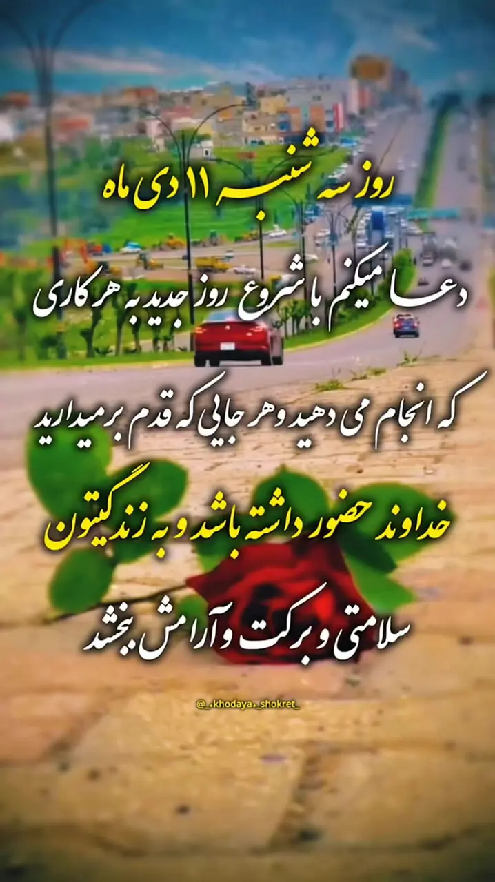 فال نوستراداموس امروز 11 دی
