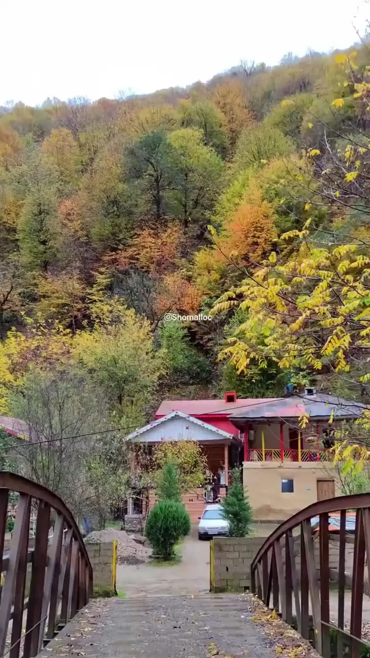 جاده ماسوله در دل جنگل‌های گیلان