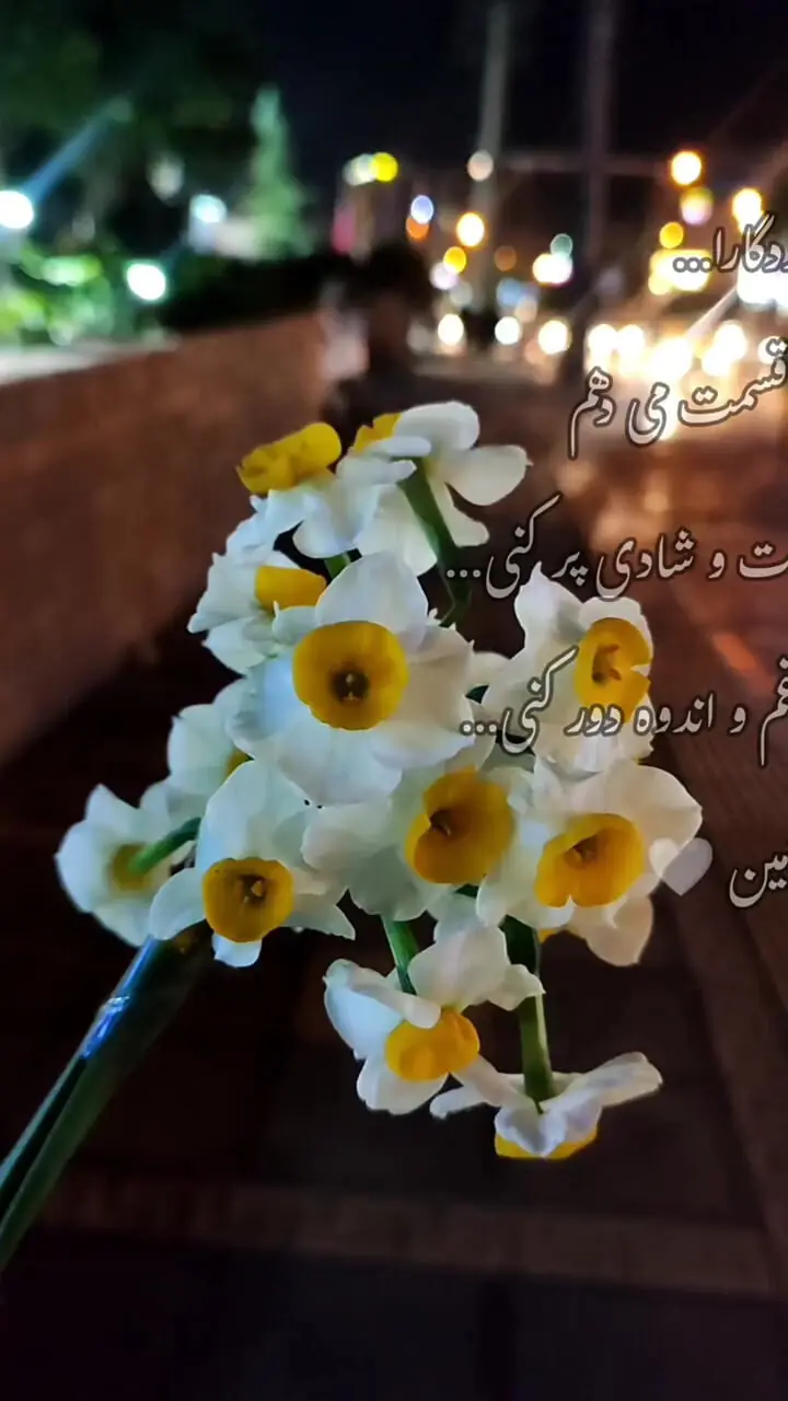 دعای شب آرزوها