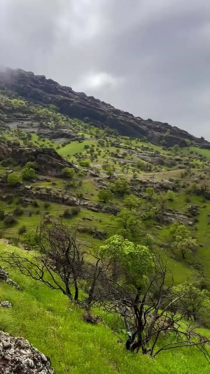 فیلم / دشت گهواره خرم آباد