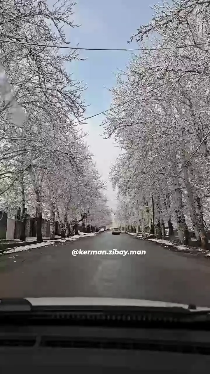 فیلم روز برفی در کرمان