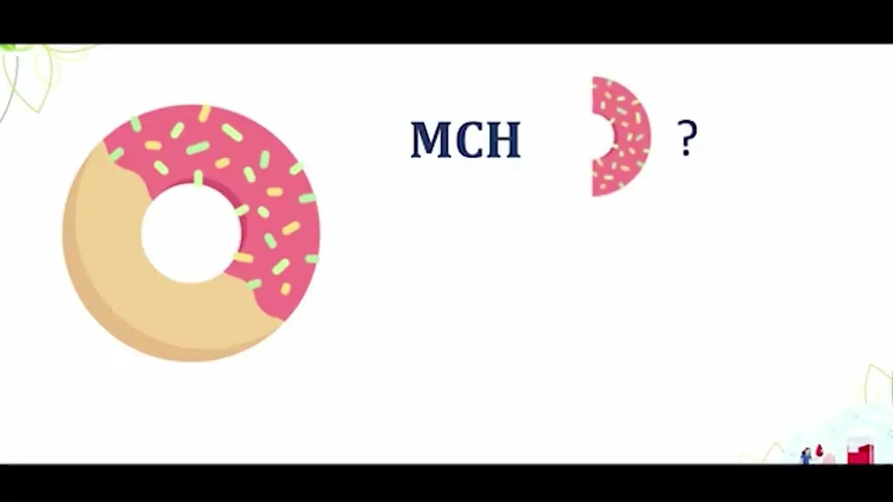 mchc در آزمایش خون چیست؟