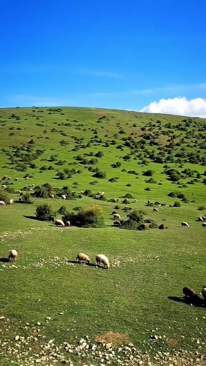 زیبایی های گیلان، دیلمان را ببینید