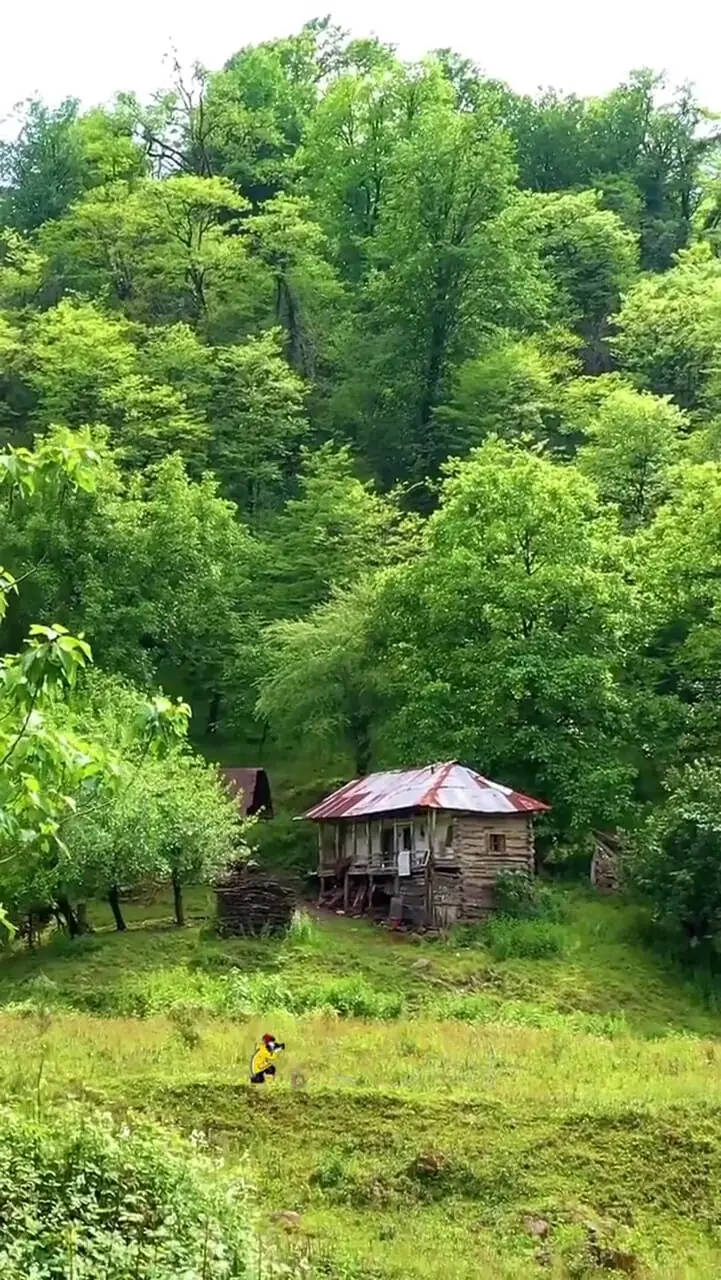 فیلم جنگل‌ لفور و مسیر هیجان‌انگیز به سوی آبشار‌ اسکلیم