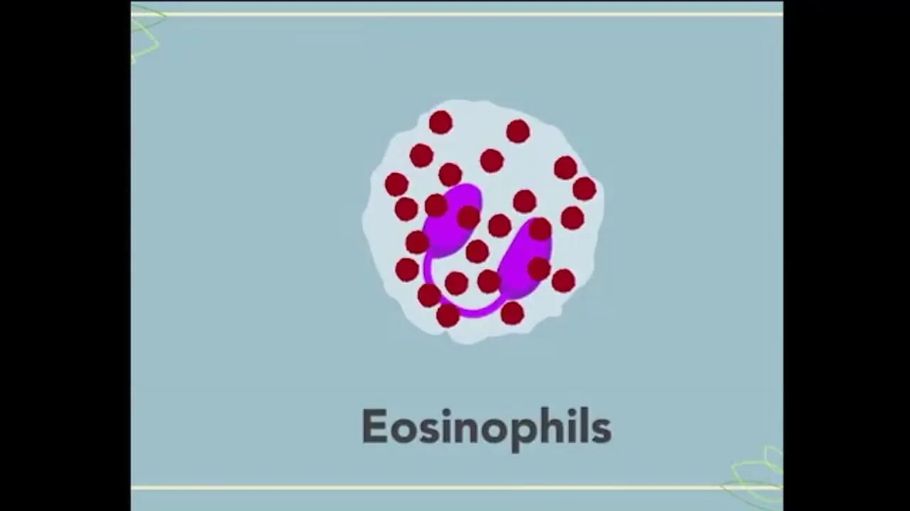 eosinophilia چیست؟ + فیلم