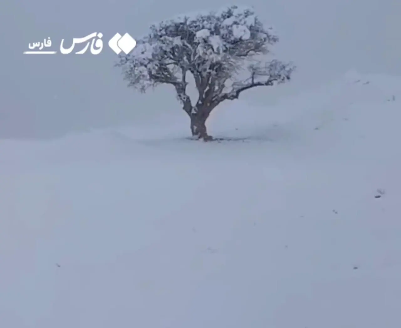 فیلم جادهٔ دشت ارژن شیراز در برف