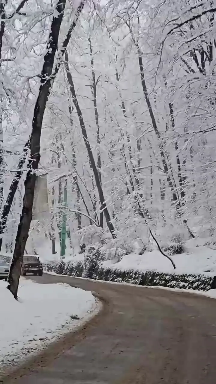 فیلم زیبایی زمستانی جاده دالخانی رامسر