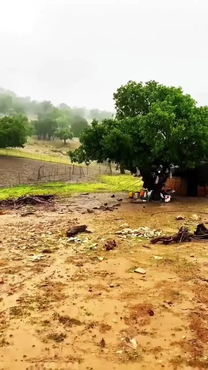 فیلم / عشایر منطقه زیبای گرنگ روستای چشمه پهن شوهان