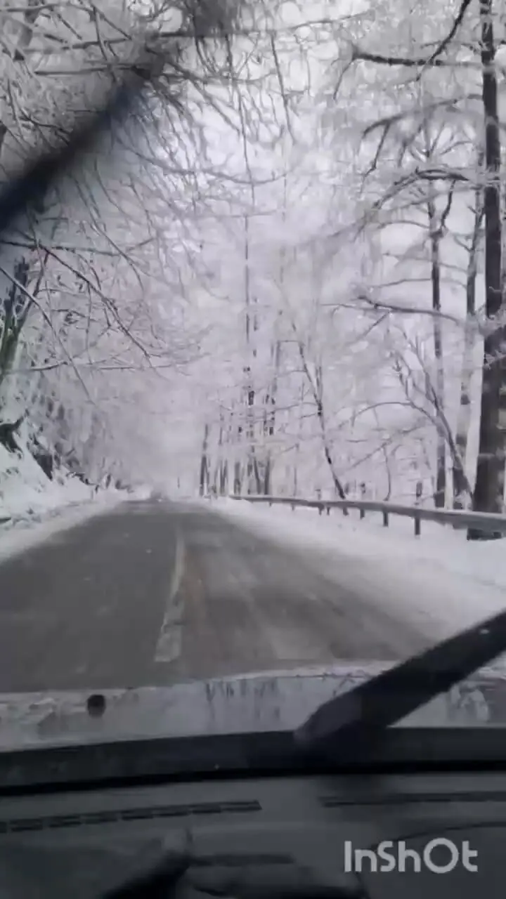 فیلم زیبایی برف در جاده جنگلی عباس‌آباد به کلاردشت