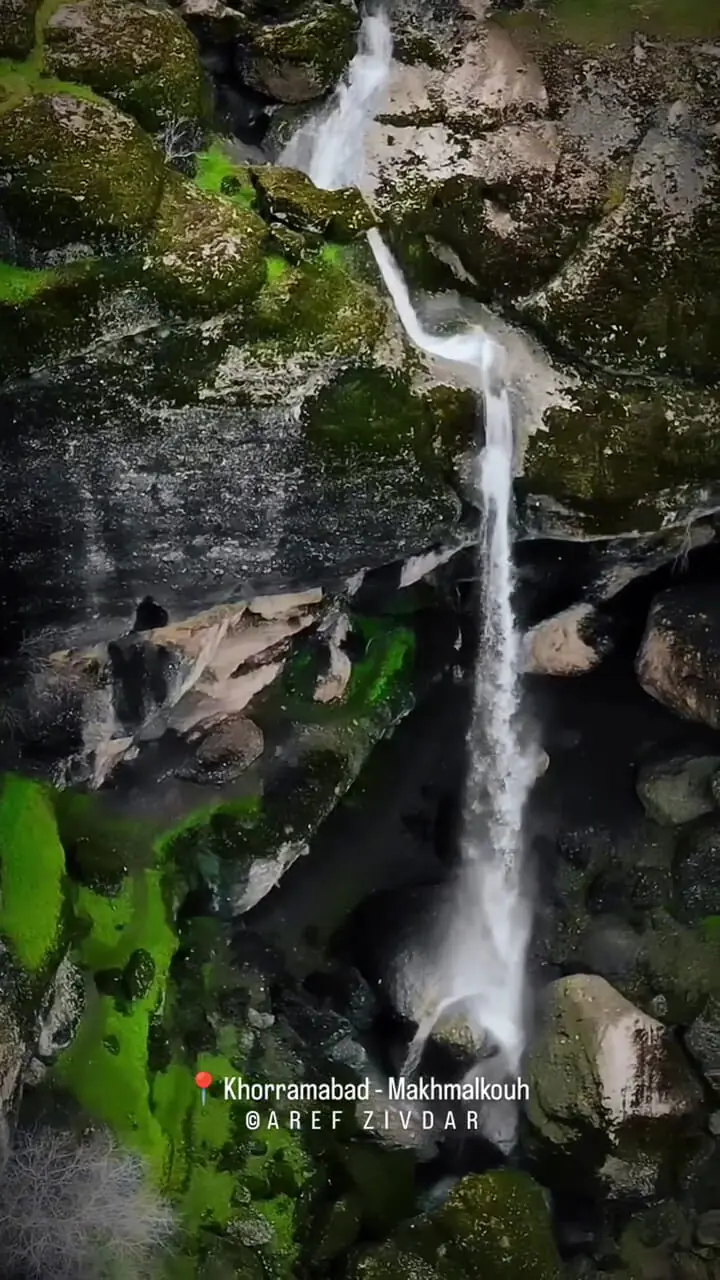 فیلم مناظر بکر و سرسبز پارک جنگلی مخمل کوه