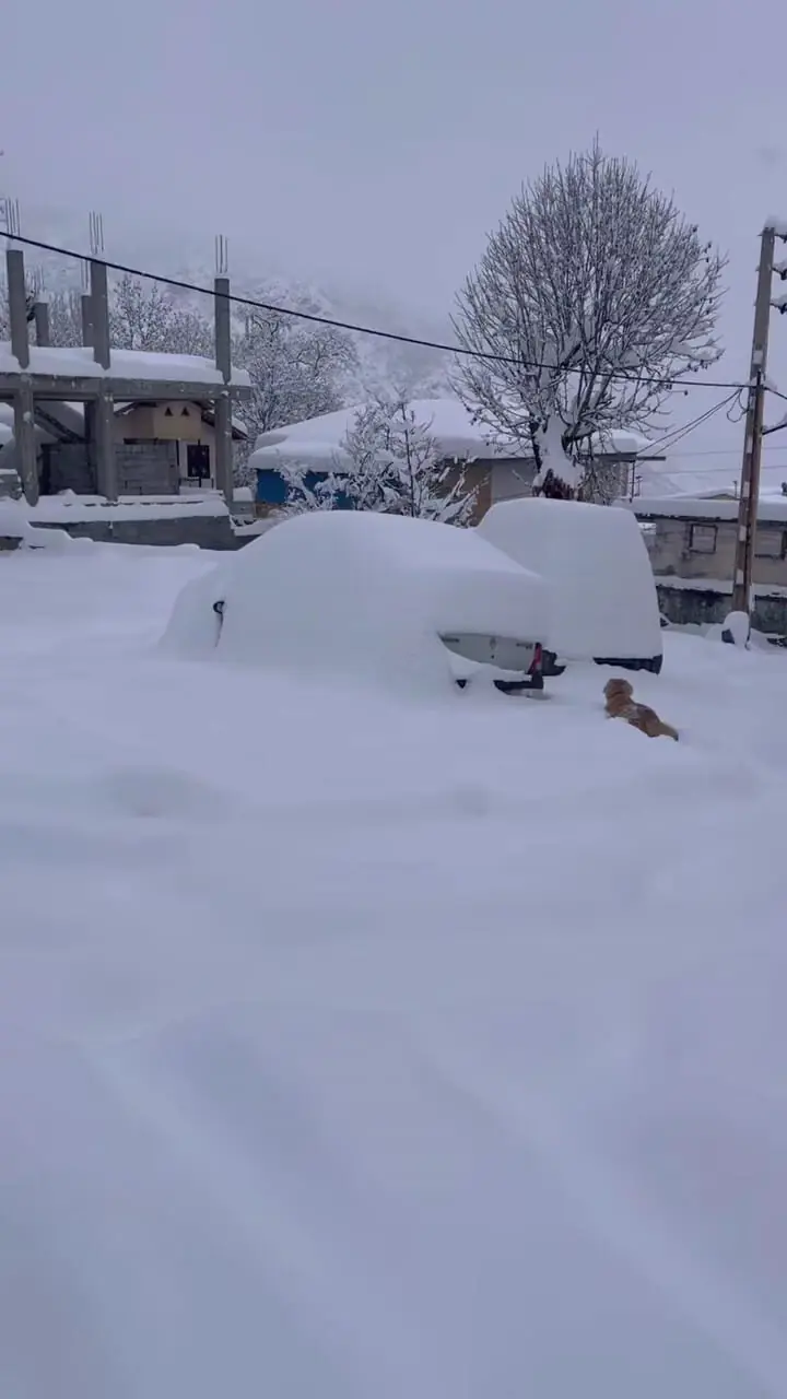 فیلم زمستان رویایی جواهرده زیر برف سنگین