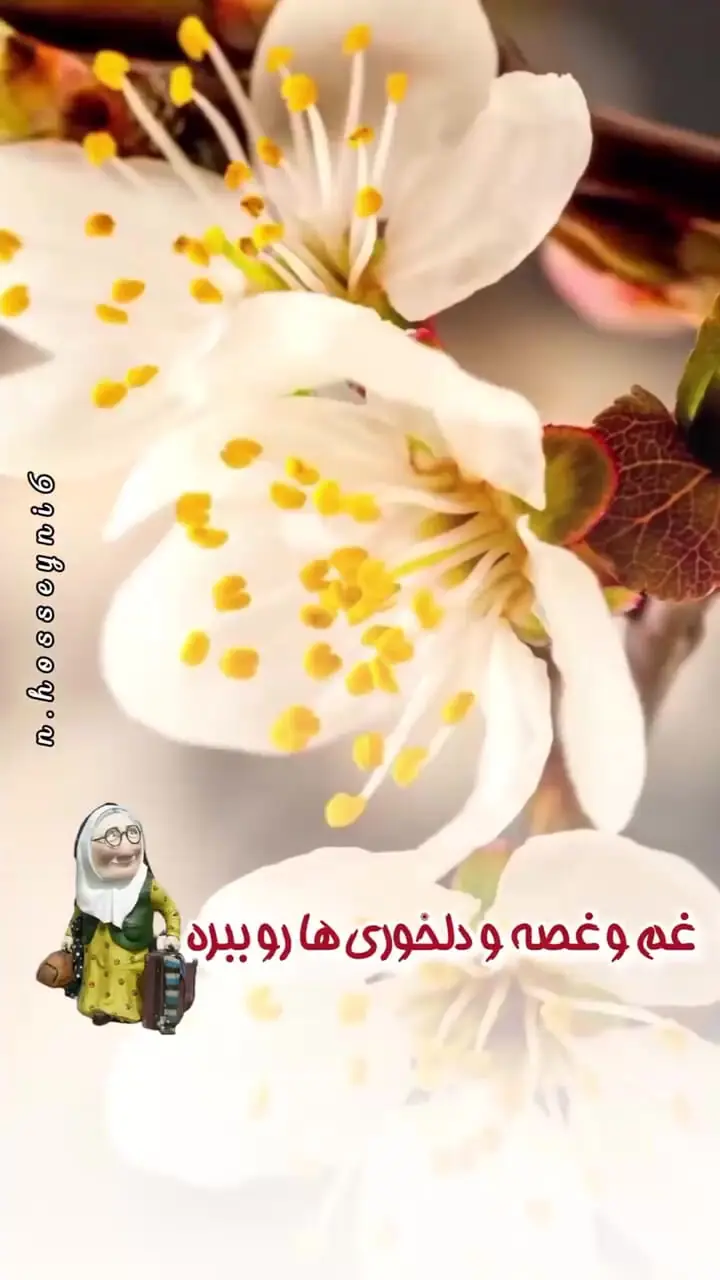 فال ابجد 29 اسفند 1403