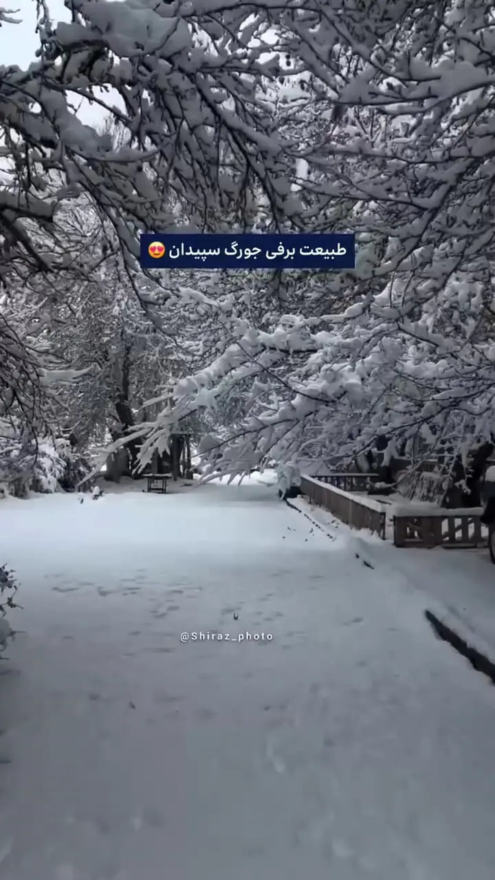 فیلم برف در جورگ سپیدان / طبیعتی بی‌نظیر در زمستان