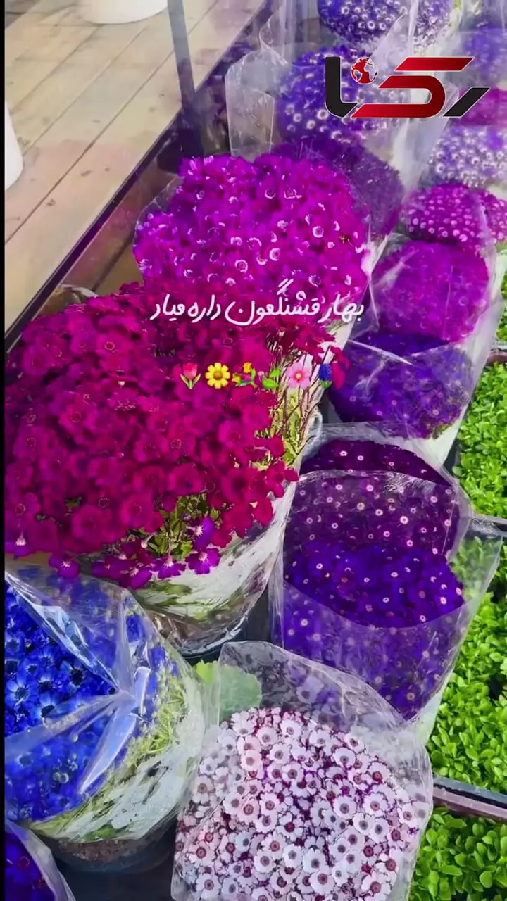 فال کائنات روزانه