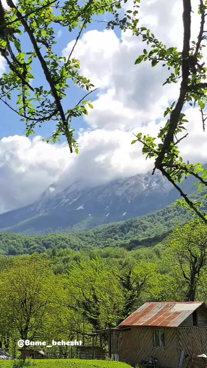فیلم / زیبایی بی‌نظیر رودبار در بهار