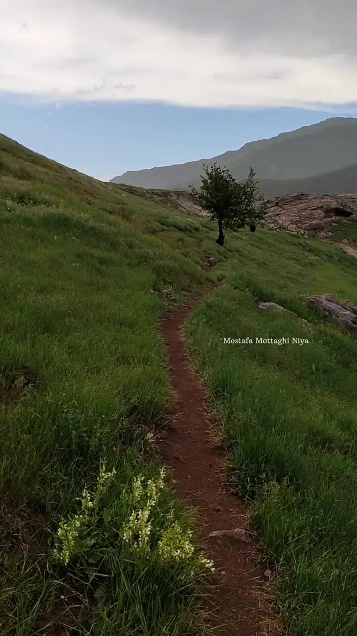 بهار تماشایی در البرز مرکزی