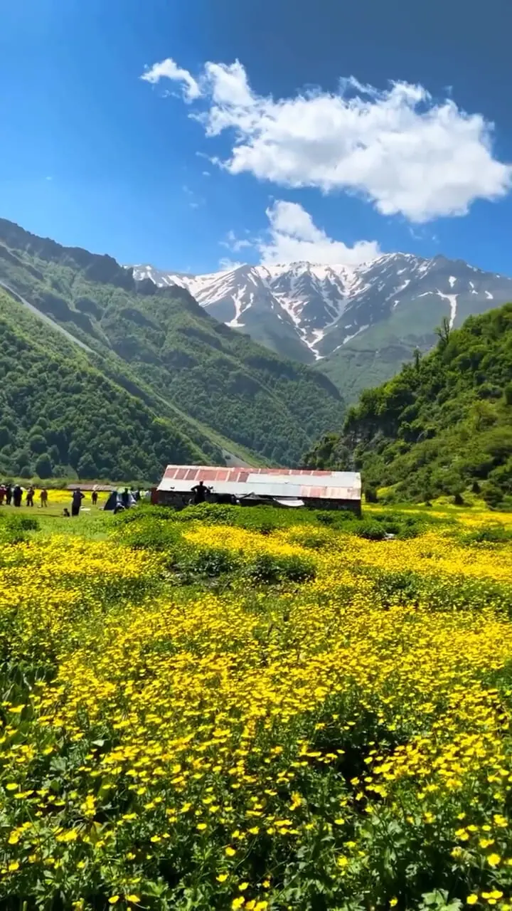 فیلم طبیعت چشم‌نواز دشت دریاسر