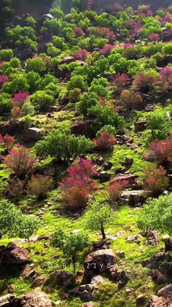 فیلم از روستای زیبا چگنی / تماشای شکوه لرستان
