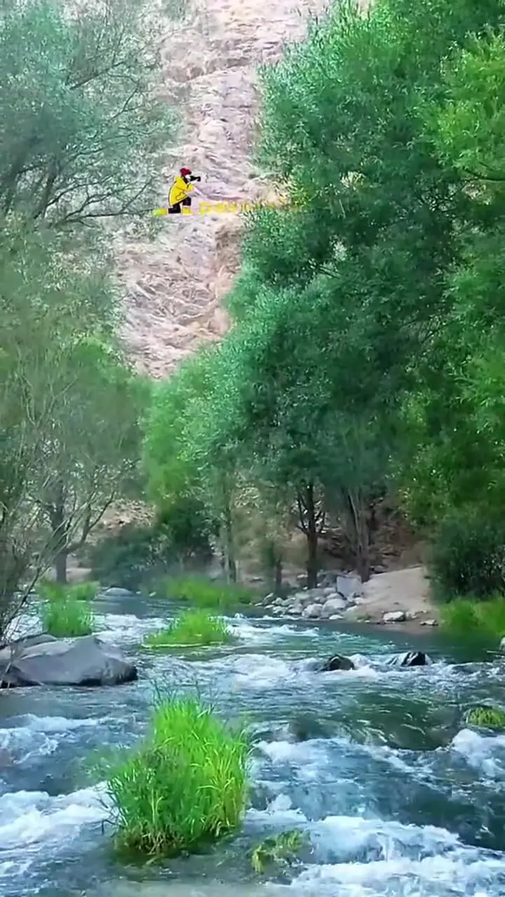 فیلم / آرامش رودخانه لار در دل کوهستان