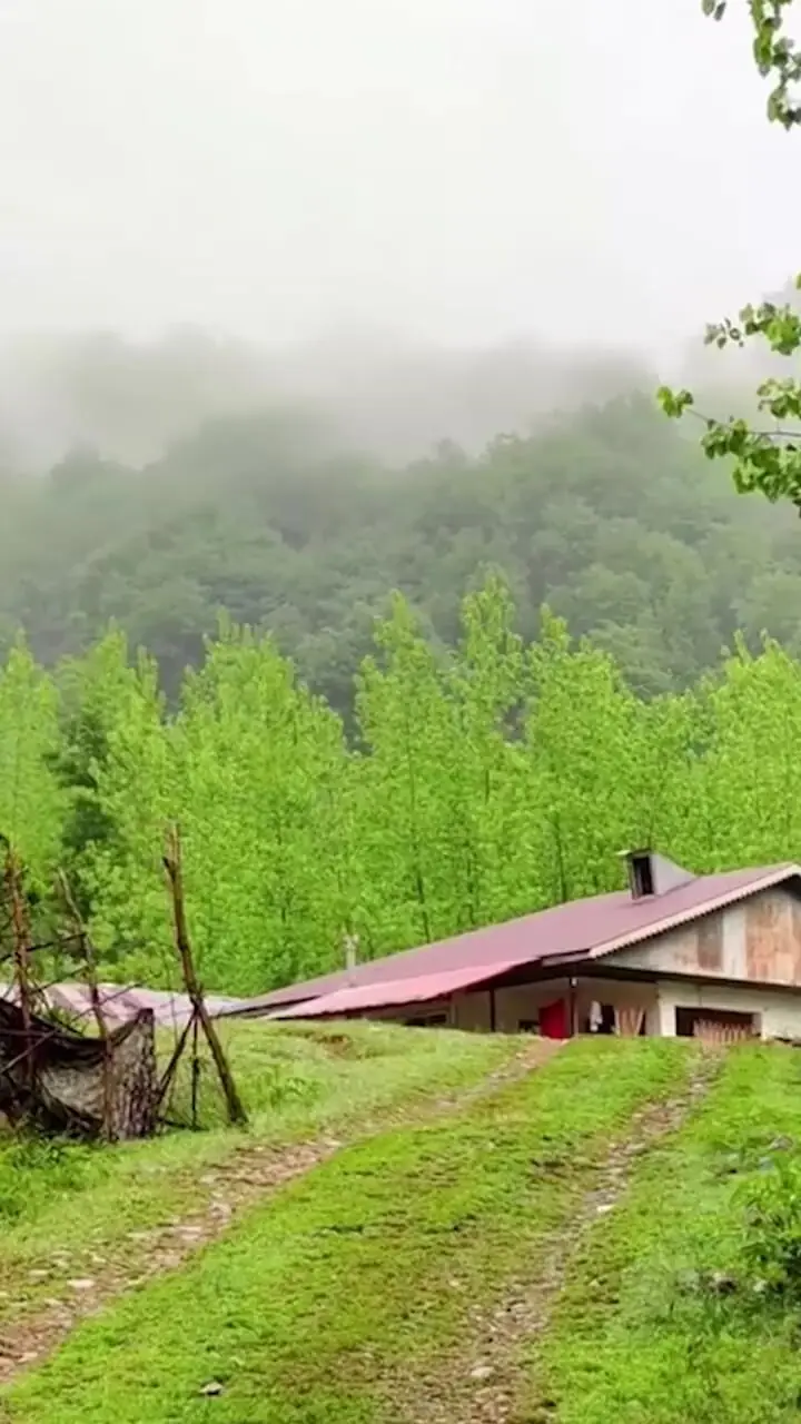 فیلم تماشای نم باران در روستای شولم گیلان