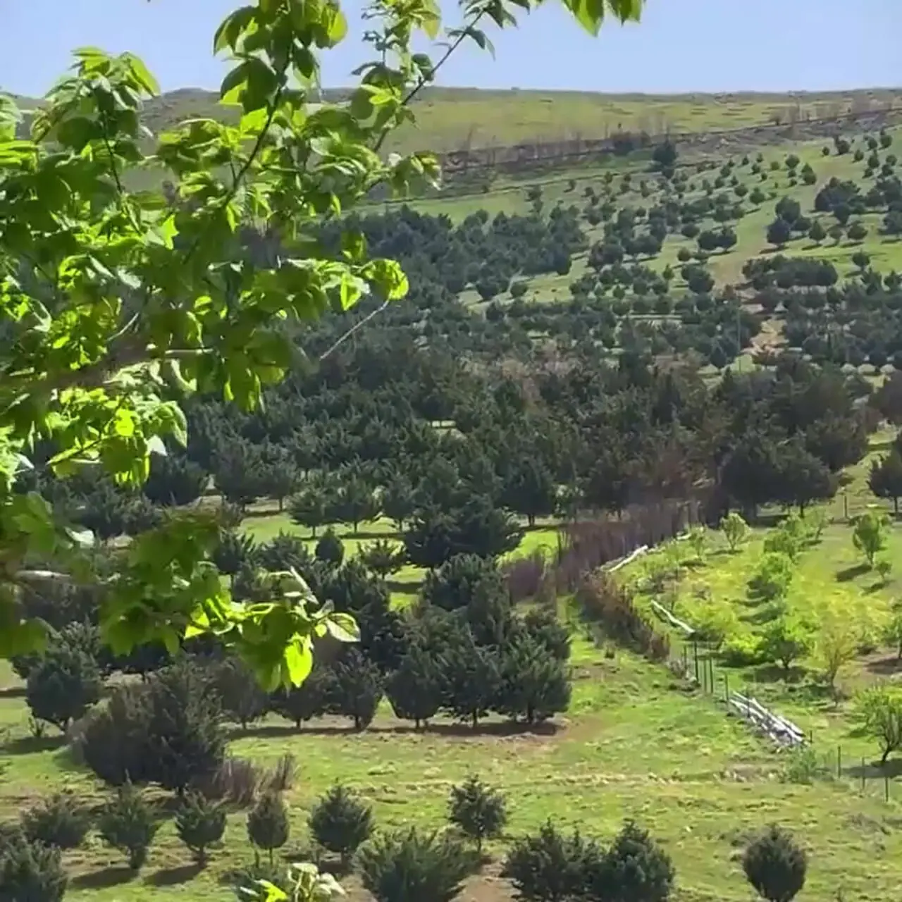 فیلم از زیبایی بی‌نظیر سد گاوازنگ زنجان/ تماشای طبیعت آرامش‌ بخش
