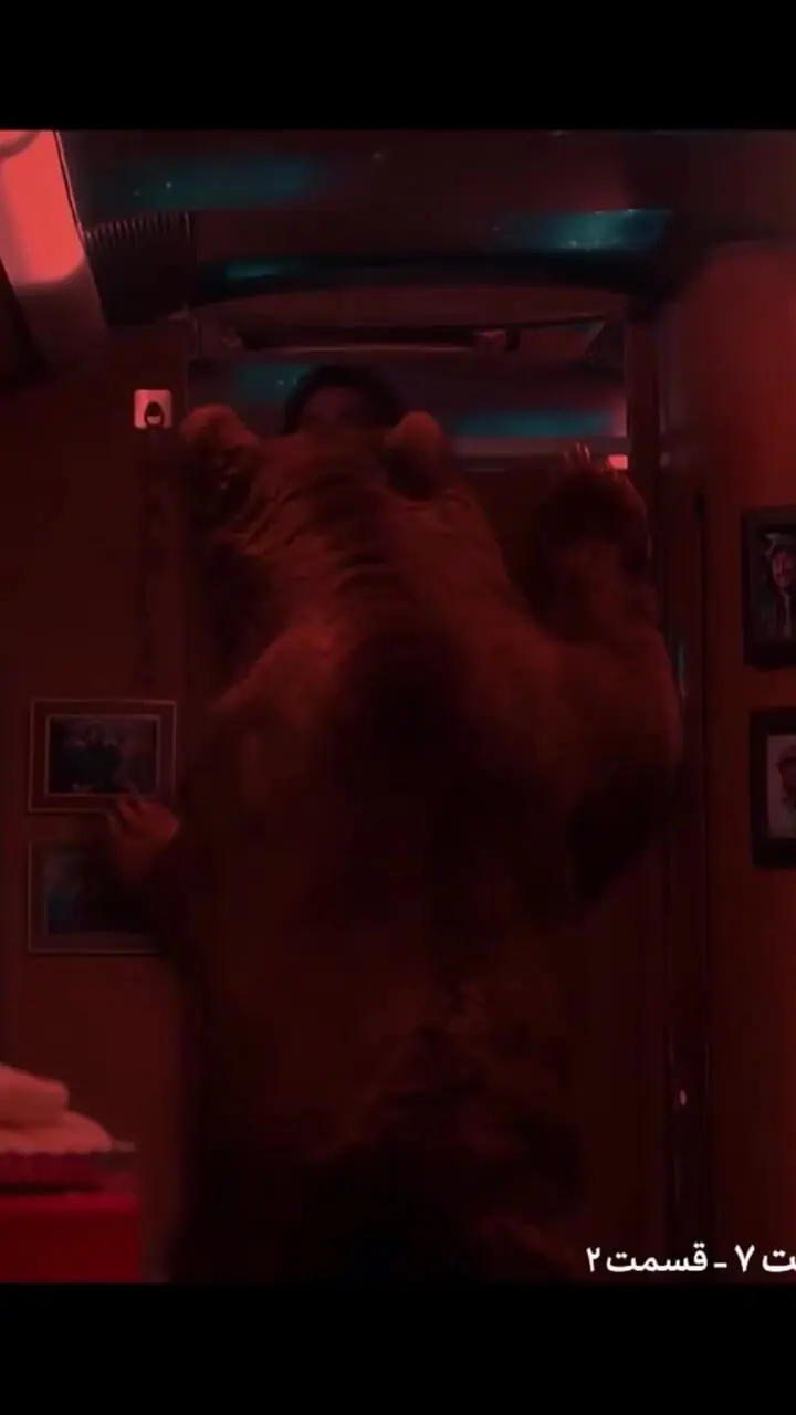 فیلم / پشت‌صحنه سکانس نبرد بهتاش با خرس در پایتخت۷ 